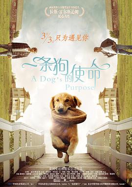 亚洲情婷婷