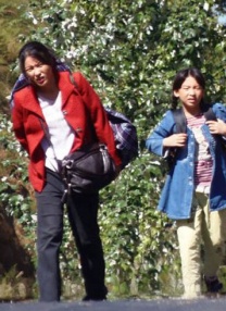 欧美精品一区在线看