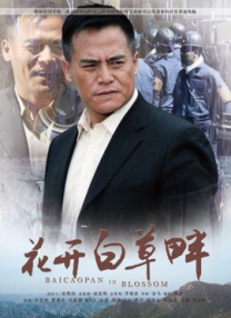 亚洲aav